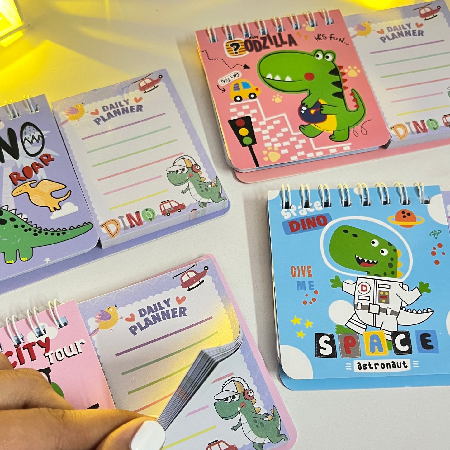 Mini Diary With Sticky Notes Combo