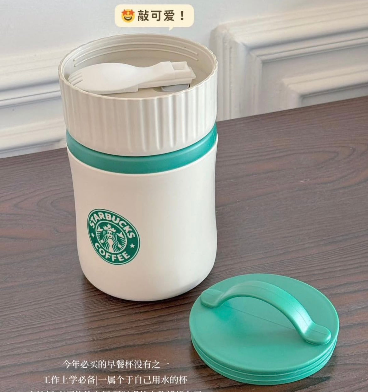 Starbucks Insulated Food Cup