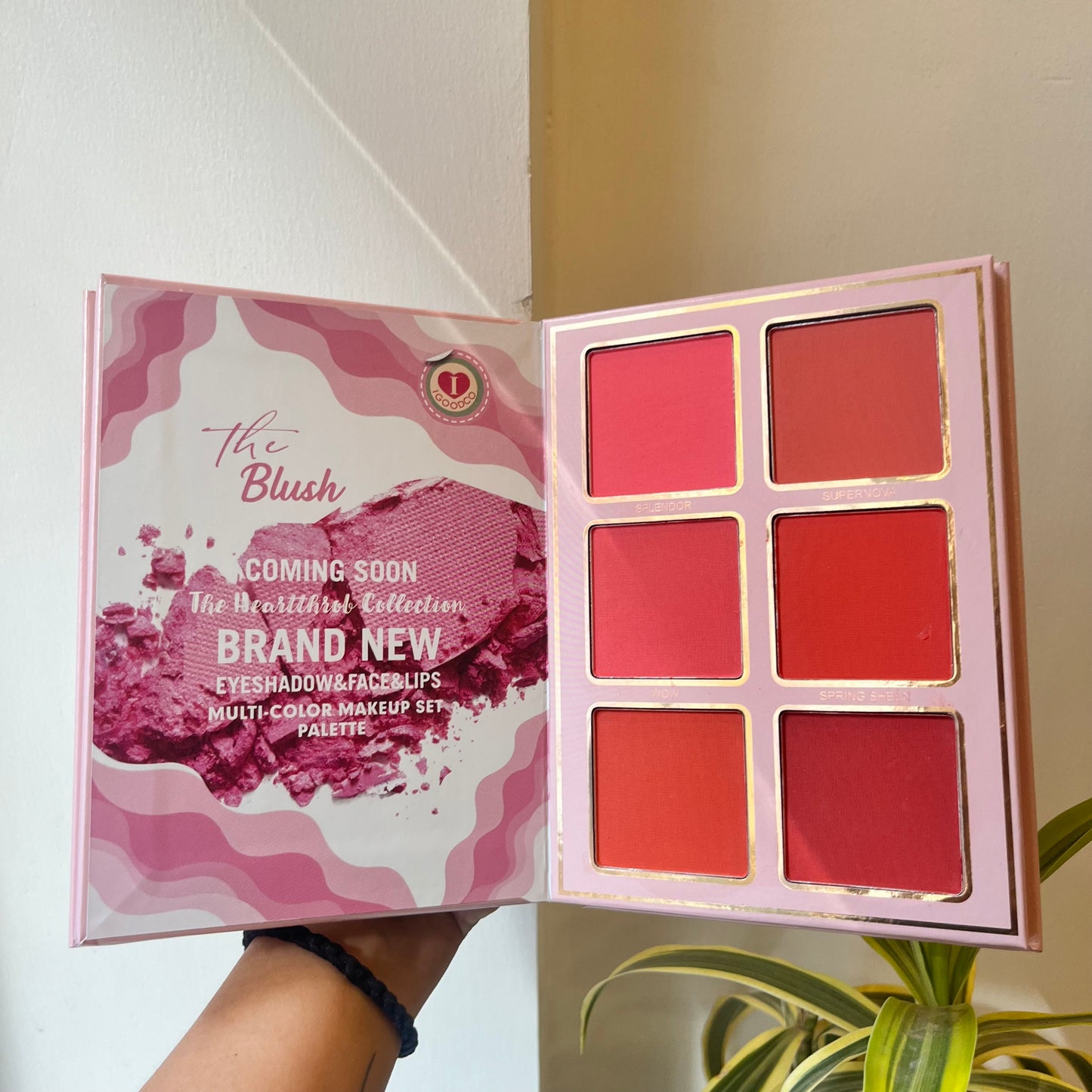 Viral Makeup Book/Igoodco Latest Bigger Size Makeup Book/Restocked