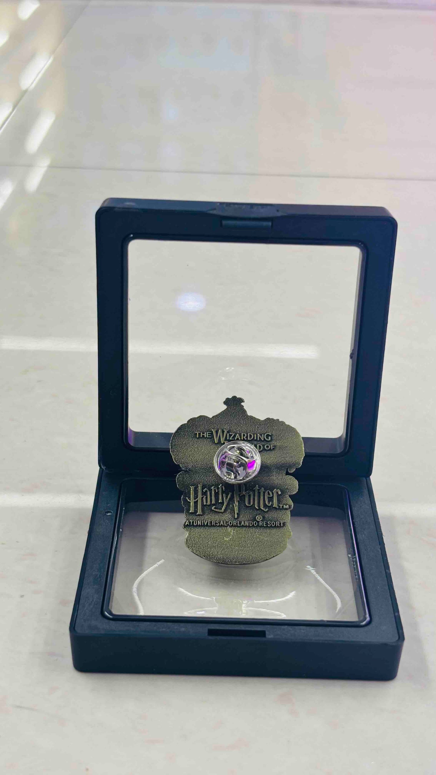 Harry Potter Badge
