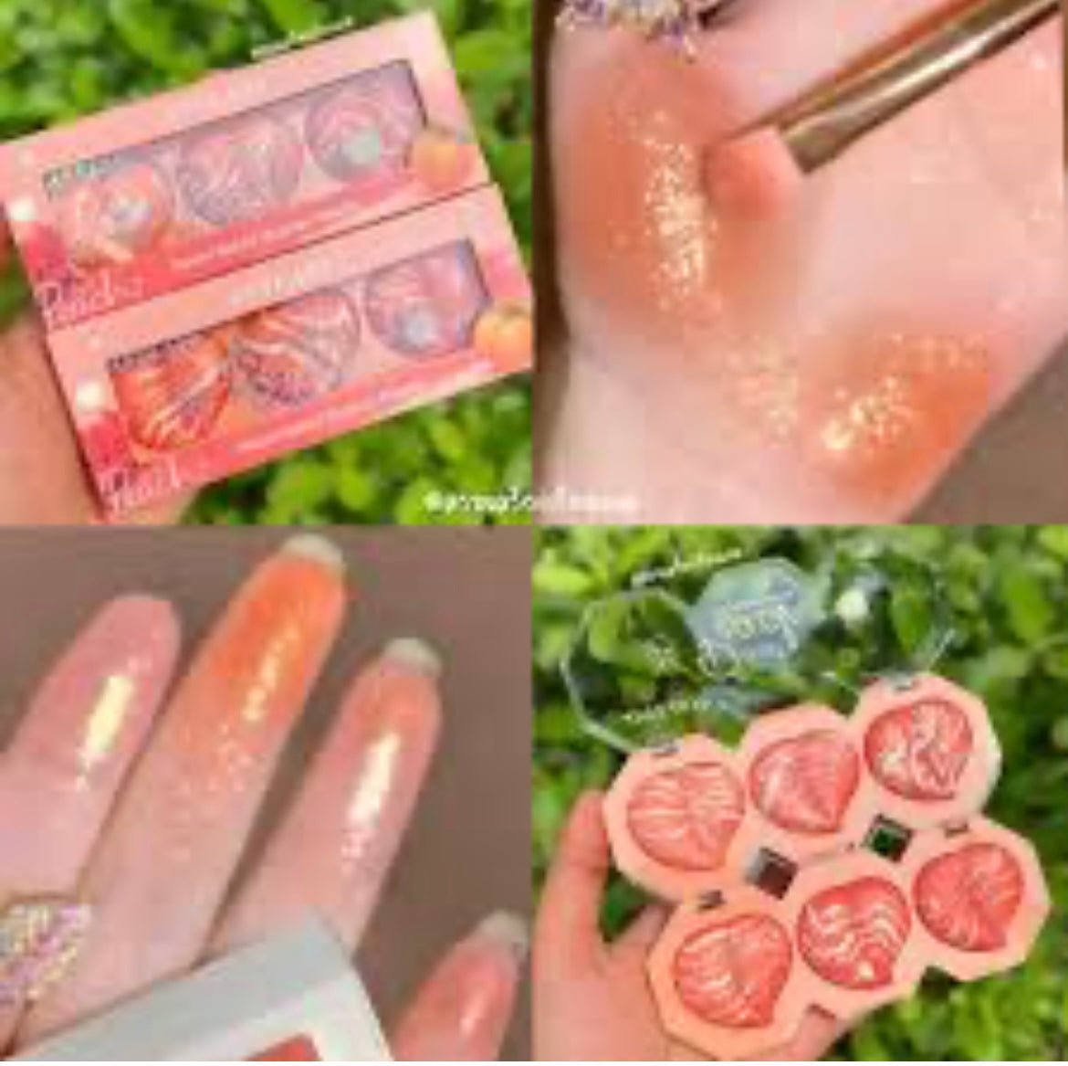 Sweet Peach Baked Blusher Pallete