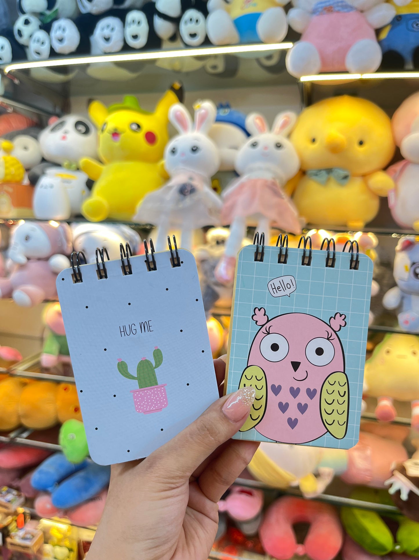 Cute Pocket Doodle Diary