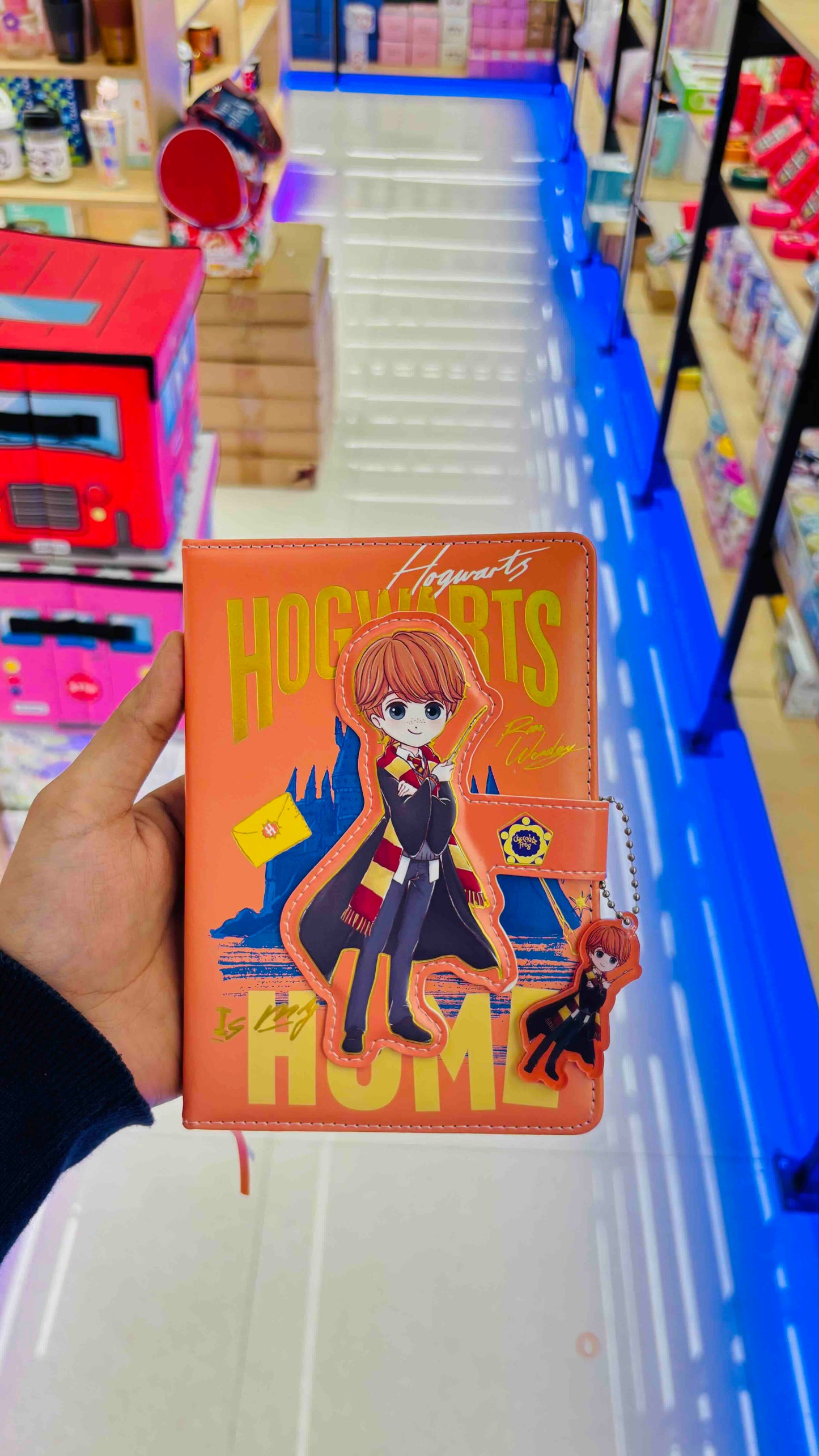 Harry Potter Hardbound Magnetic A5 Diary with Three Dimensional Title Page