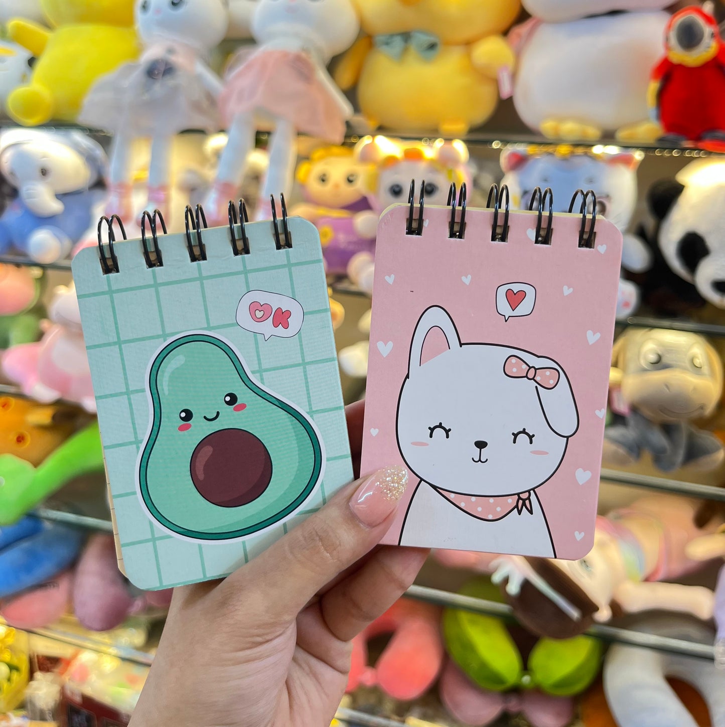 Cute Pocket Doodle Diary