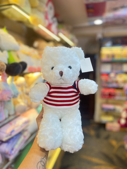 Sweater Teddy Plushie/Soft Toy