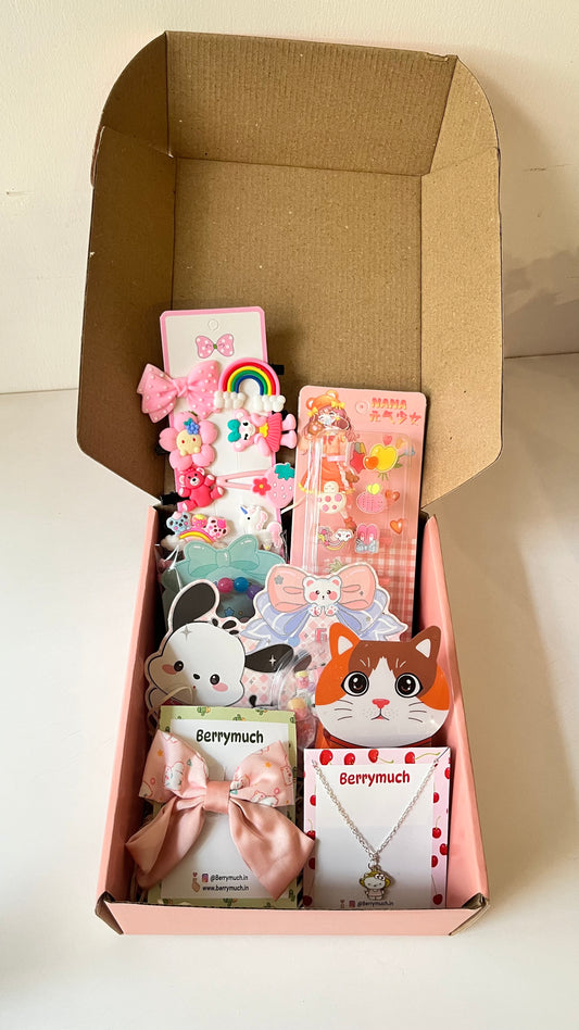 Cute Accessories Hamper Box