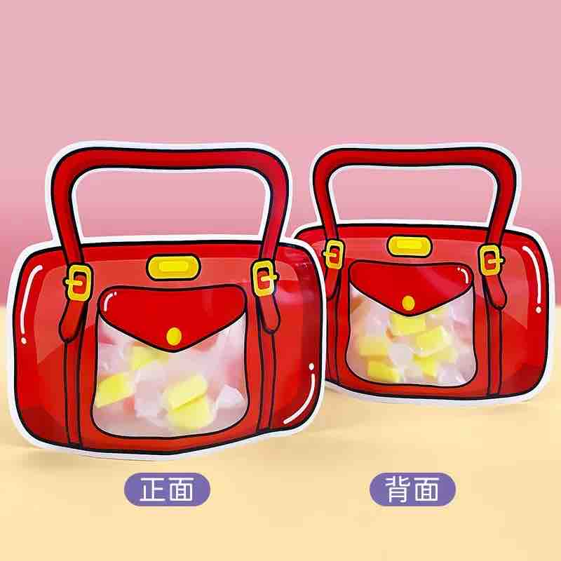 Pocket Bag Zip Lock Pouches (set of 2 Pcs)