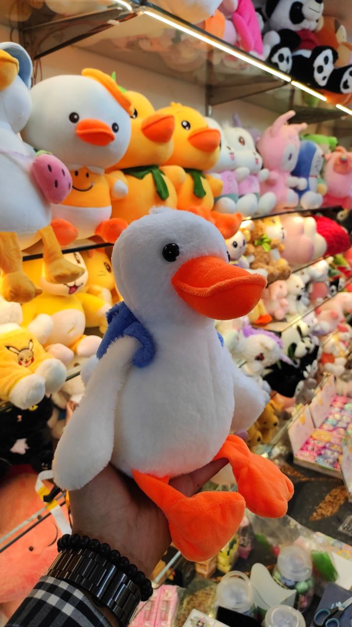 Student Duck Soft Toy