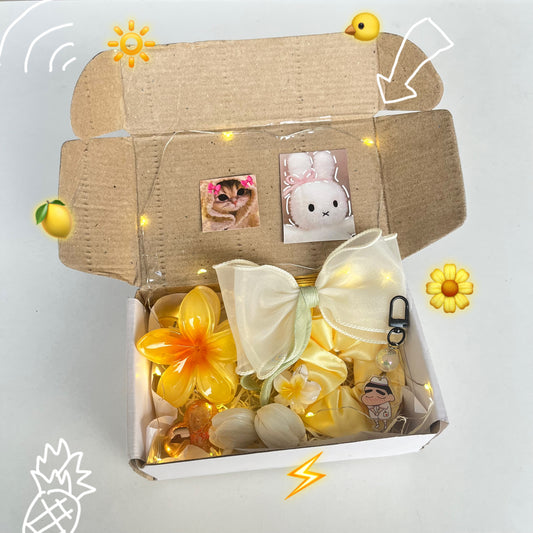 Sunshine LED Hamper