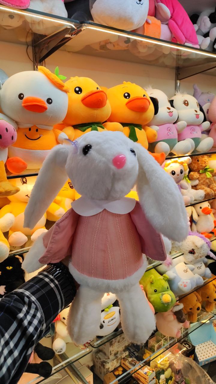 Jacket Bunny Soft Toy