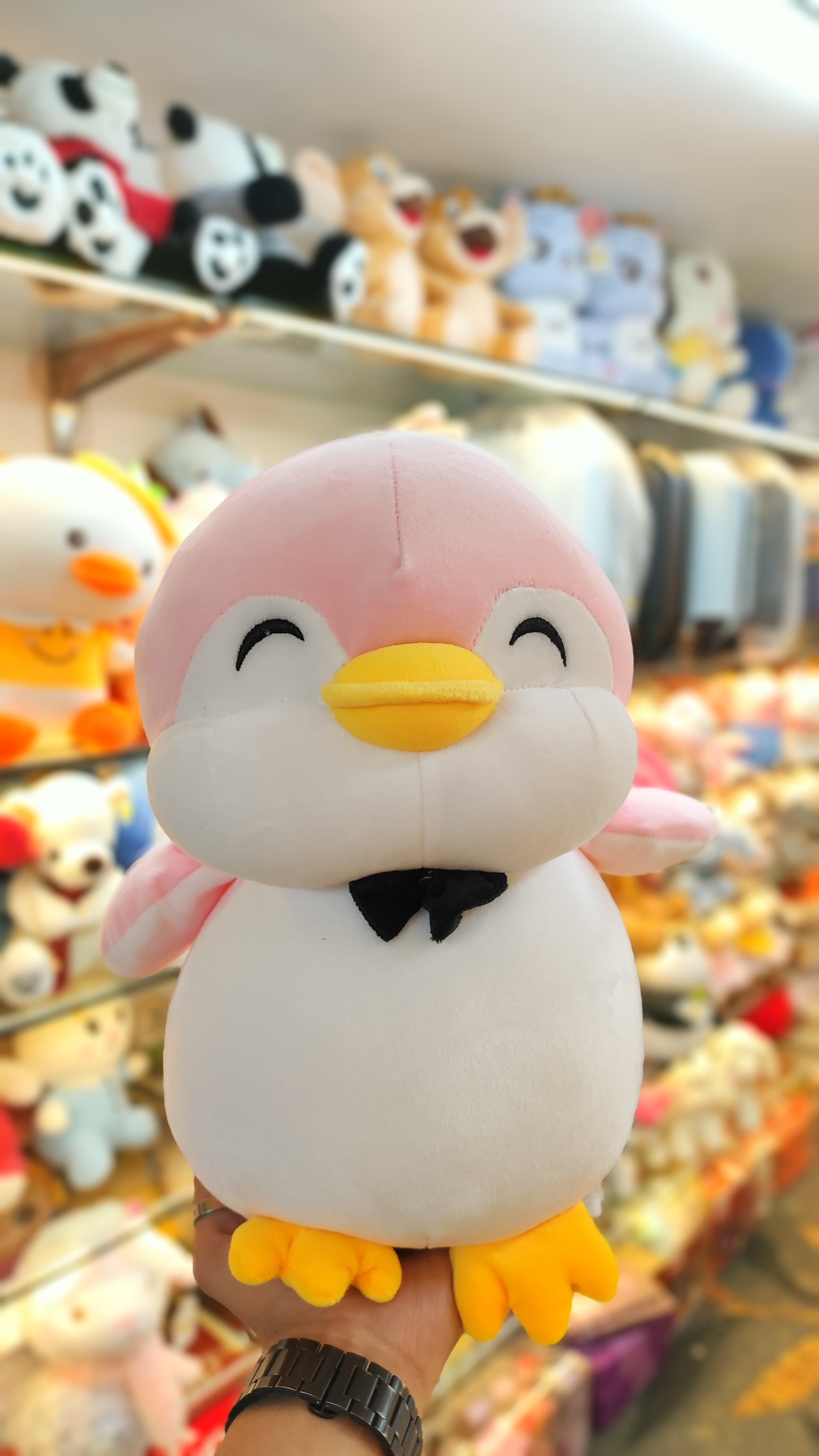 Pastel Penguin Soft Toy