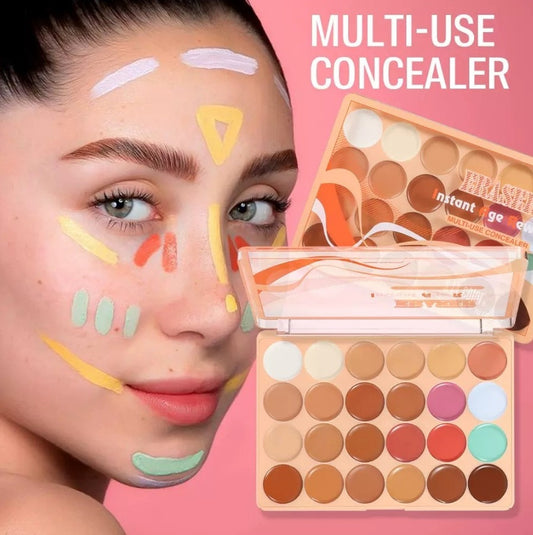 SFR Concealer Pallete - 24 Shades